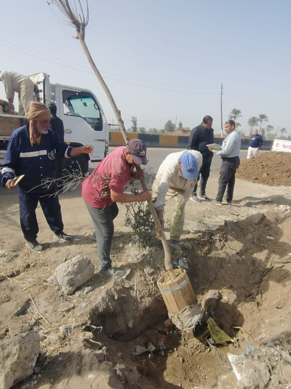 الدقهلية تُطلق أكبر حملة للتشجير (4) الدقهلية تُطلق أكبر حملة للتشجير (4)
