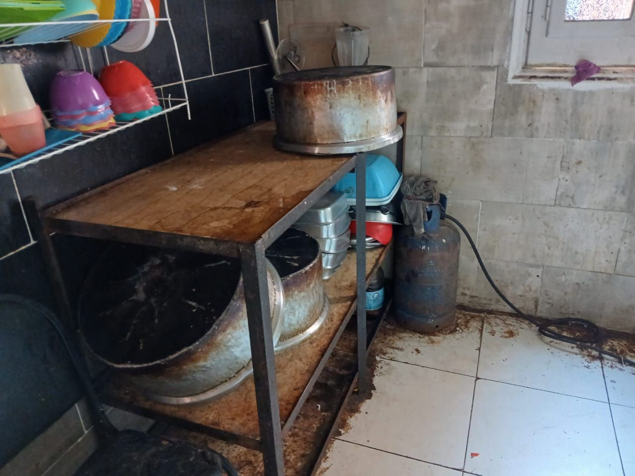 1000276491 1000276491