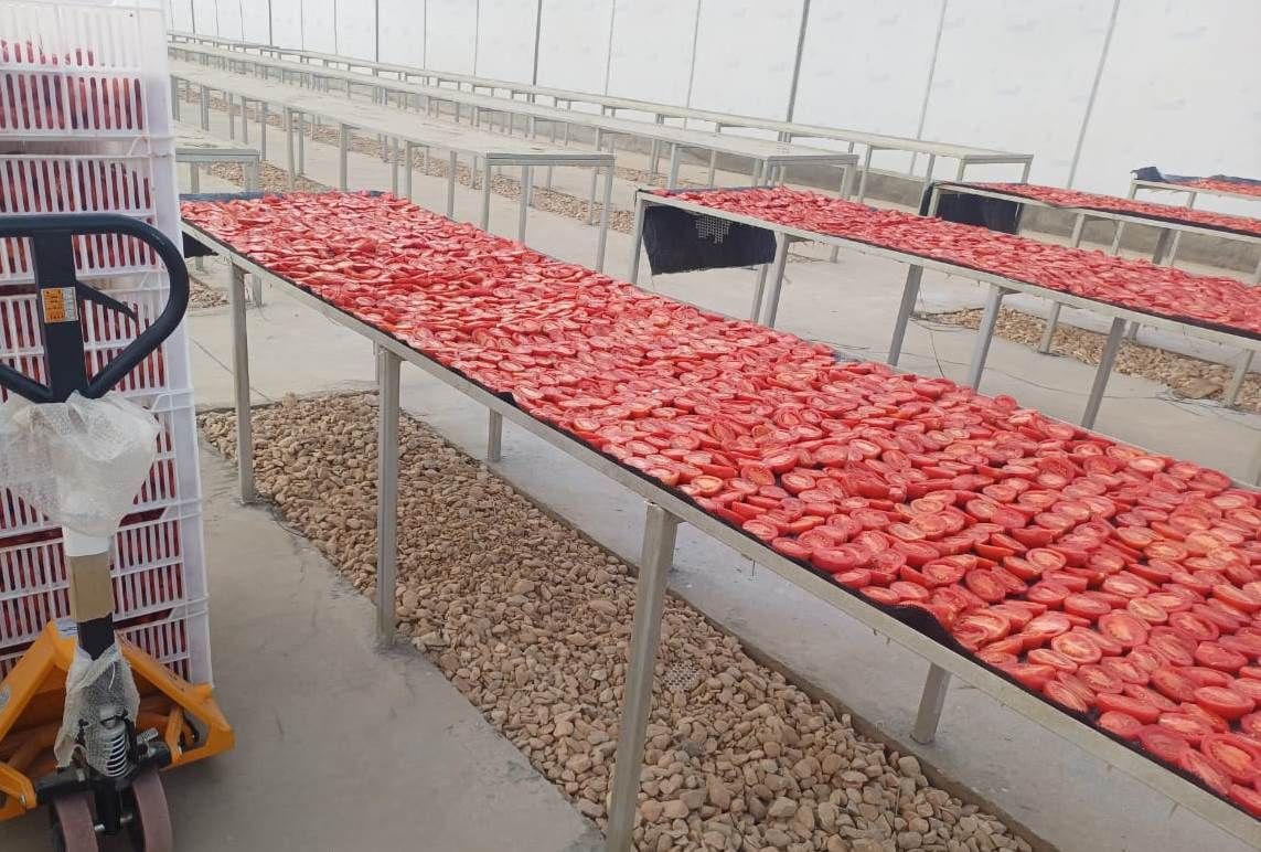 تجهيز منشر طماطم فى مجمع الصناعات بالكيمان تجهيز منشر طماطم فى مجمع الصناعات بالكيمان