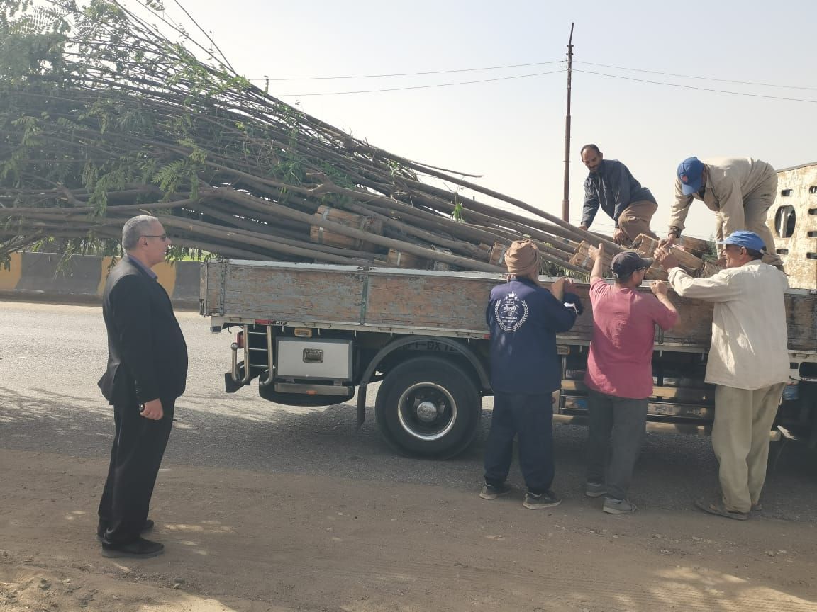 الدقهلية تُطلق أكبر حملة للتشجير (3) الدقهلية تُطلق أكبر حملة للتشجير (3)