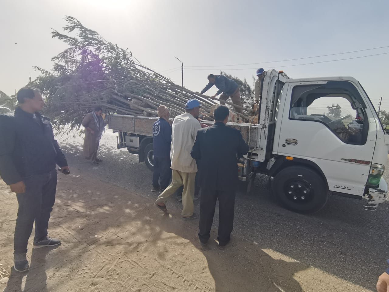 الدقهلية تُطلق أكبر حملة للتشجير (5) الدقهلية تُطلق أكبر حملة للتشجير (5)