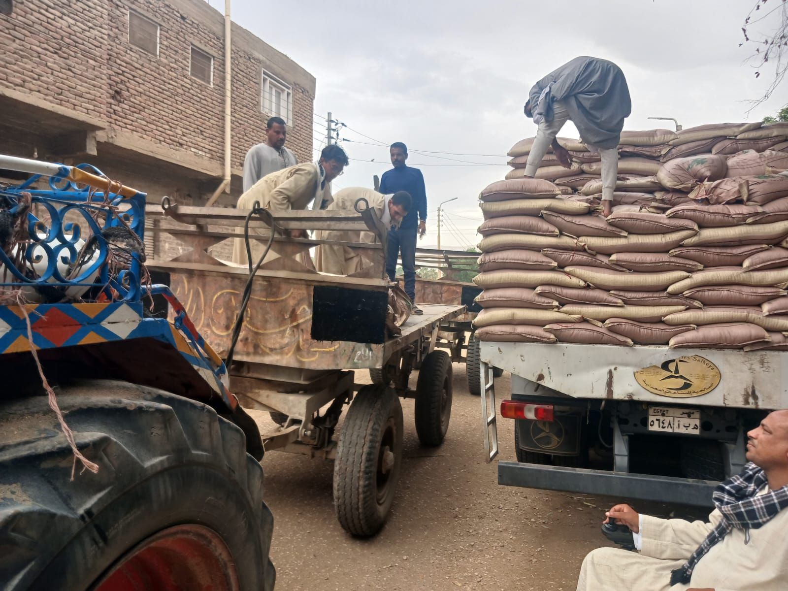 تسليم تقاوي القمح في الأقصر ضمن مبادرة ازرع تسليم تقاوي القمح في الأقصر ضمن مبادرة ازرع