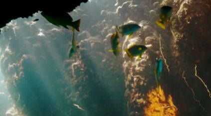 إدراج الثقوب الزرقاء و”رأس حاطبة” ضمن قائمة المحميات الوطنية السعودية