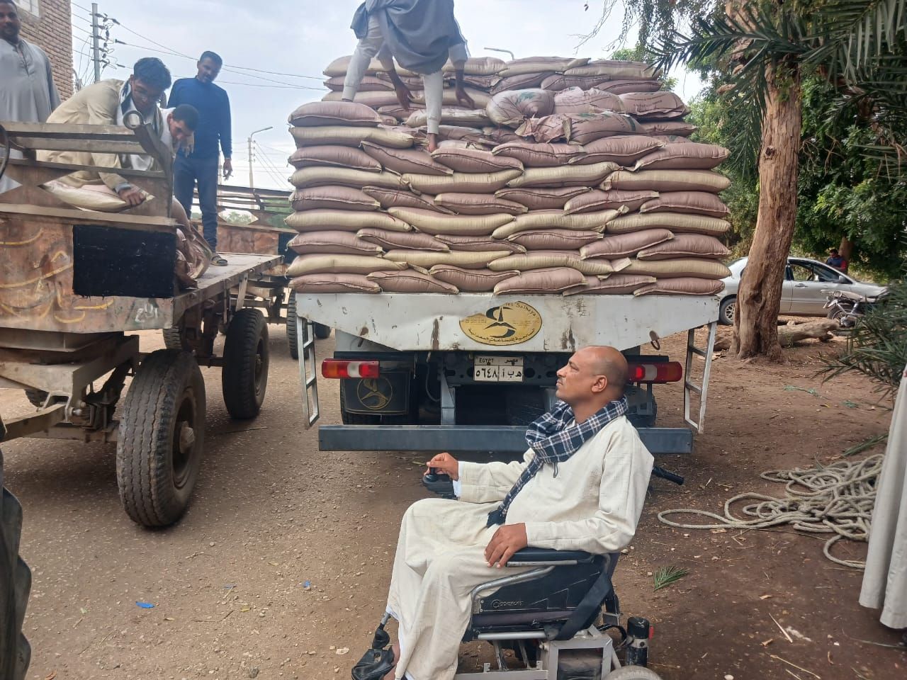 تسليم تقاوى القمح تحت مظلة التحالف الوطني فى الأقصر تسليم تقاوى القمح تحت مظلة التحالف الوطني فى الأقصر