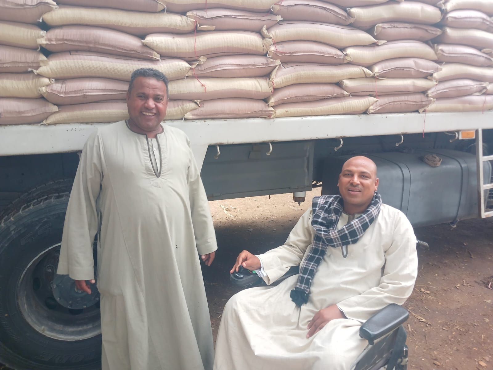 بدء المرحلة الثانية من تسليم تقاوي القمح في الأقصر بدء المرحلة الثانية من تسليم تقاوي القمح في الأقصر