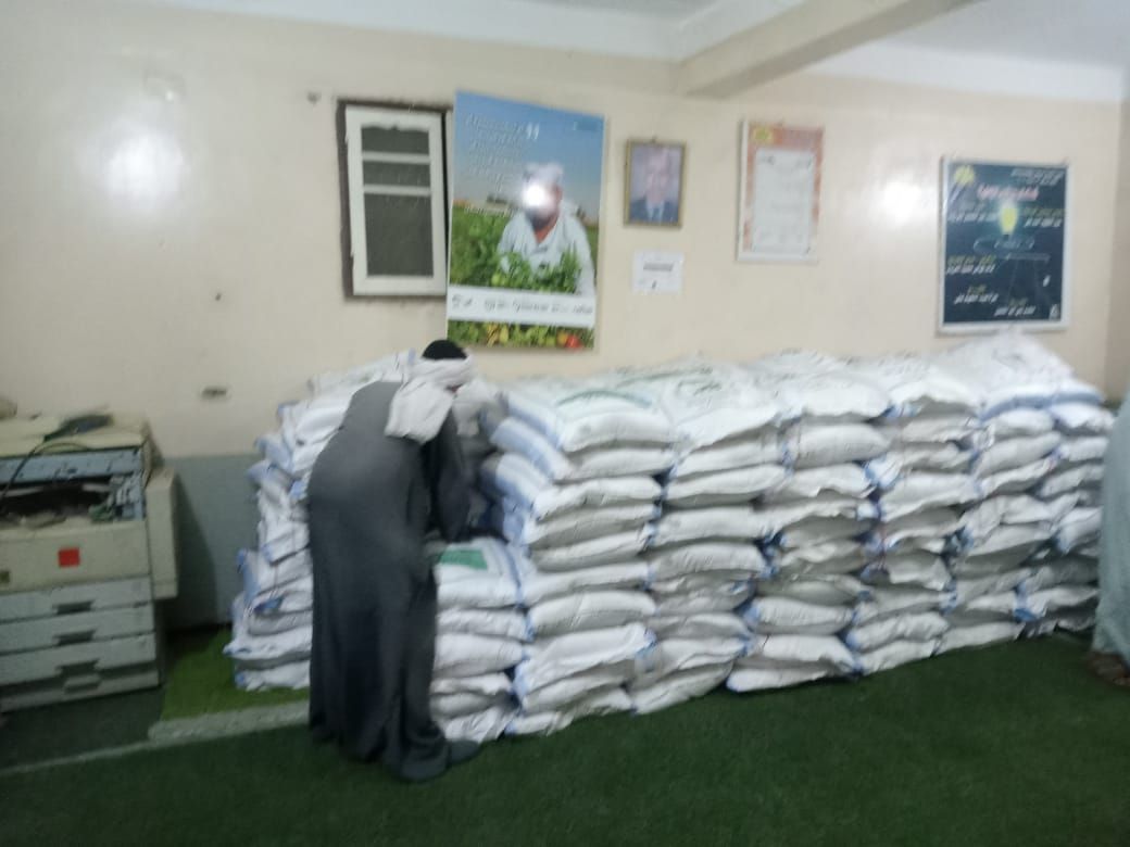 المرحلة الثانية من تسليم تقاوي القمح في الأقصر ضمن مبادرة ازرع المرحلة الثانية من تسليم تقاوي القمح في الأقصر ضمن مبادرة ازرع