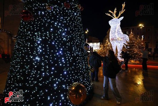 التقاط الصور التذكارية لشجرة عيد الميلاد التقاط الصور التذكارية لشجرة عيد الميلاد