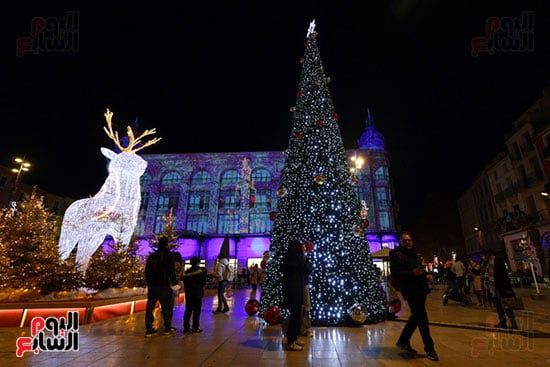 شجرة عيد الميلاد شجرة عيد الميلاد