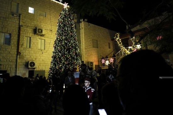 شجرة عيد الميلاد شجرة عيد الميلاد