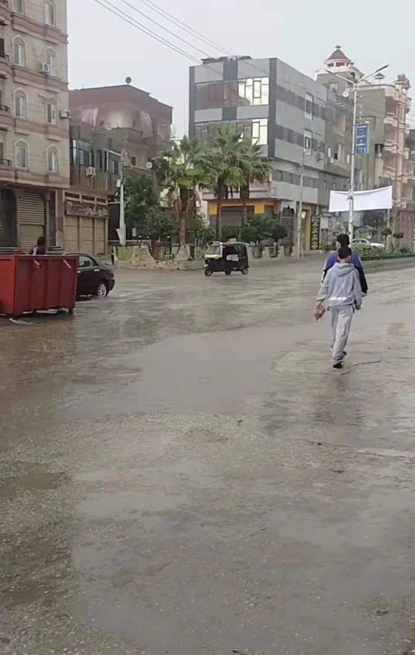 شوارع الدقهلية