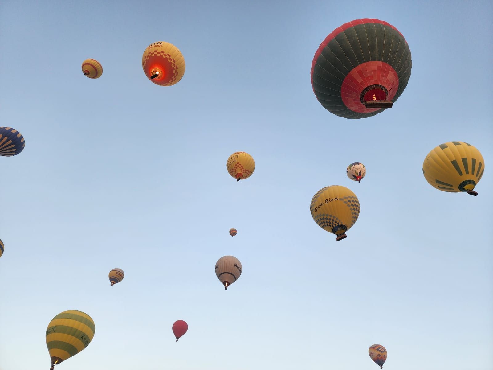 فرحة افتتاح المتحف المصرى الكبير تبدأ من قلب رحلات البالون الطائر فرحة افتتاح المتحف المصرى الكبير تبدأ من قلب رحلات البالون الطائر