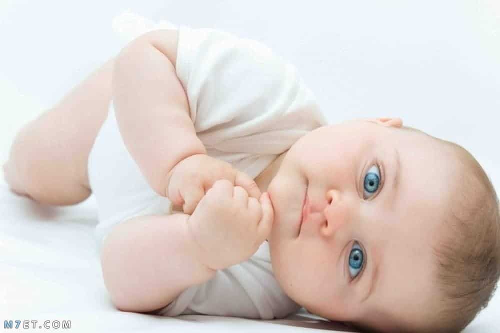 معنى اسم صفا في المعجم اللغوي ودلع الاسم صورة رقم 3 معنى اسم صفا