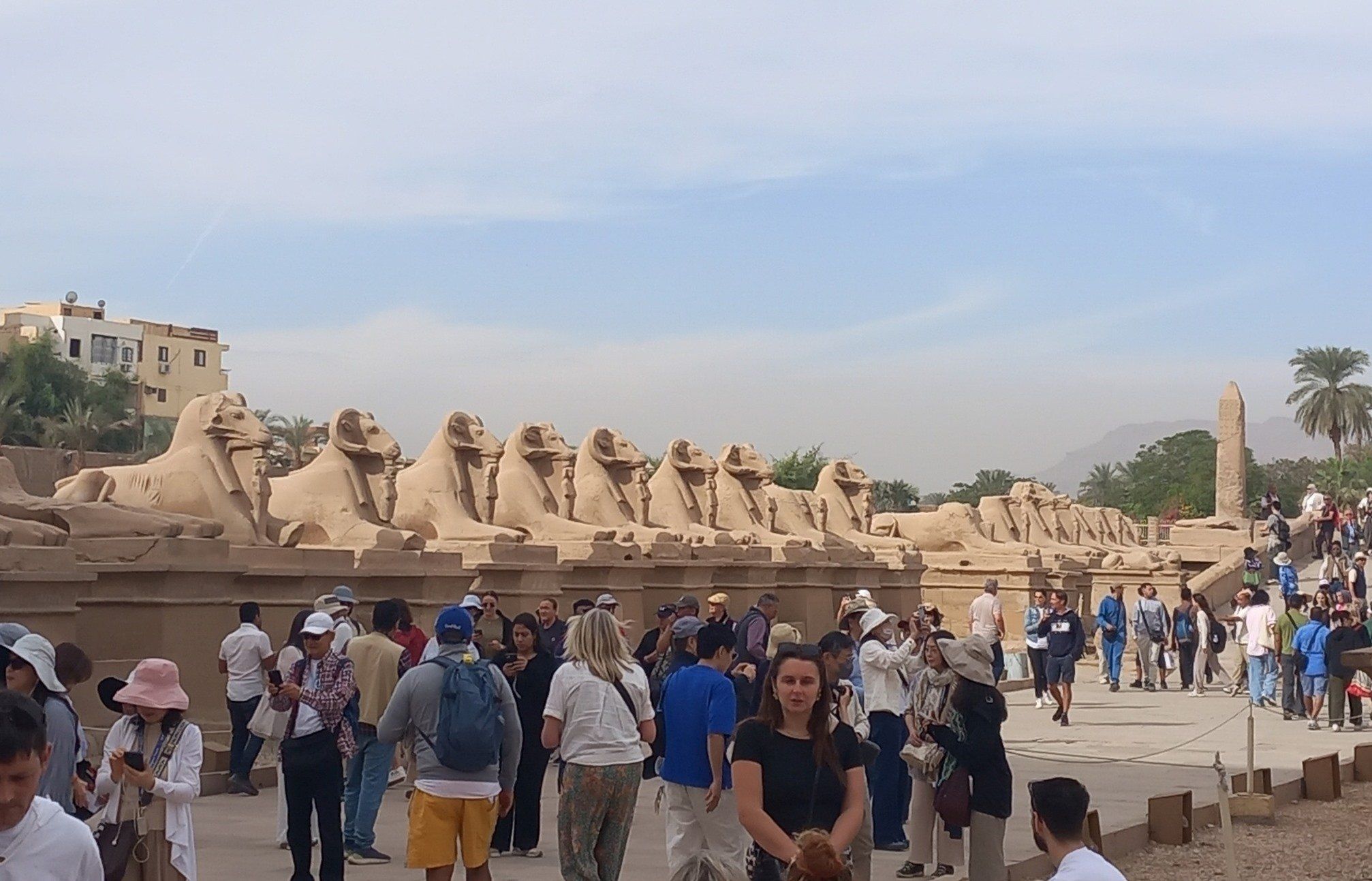 توافد سياحي كبير فى معابد الكرنك توافد سياحي كبير فى معابد الكرنك