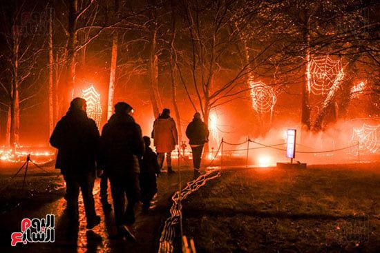 استمتاع زوار الحديقة النباتية بأذواء عيد الميلاد استمتاع زوار الحديقة النباتية بأذواء عيد الميلاد