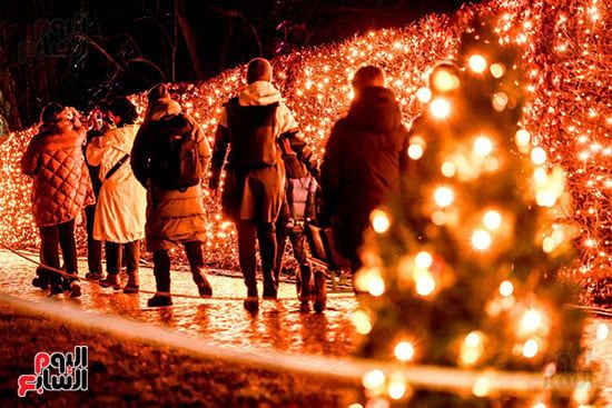 زينة عيد الميلاد زينة عيد الميلاد