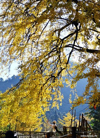 التقاط الصور التذكارية التقاط الصور التذكارية