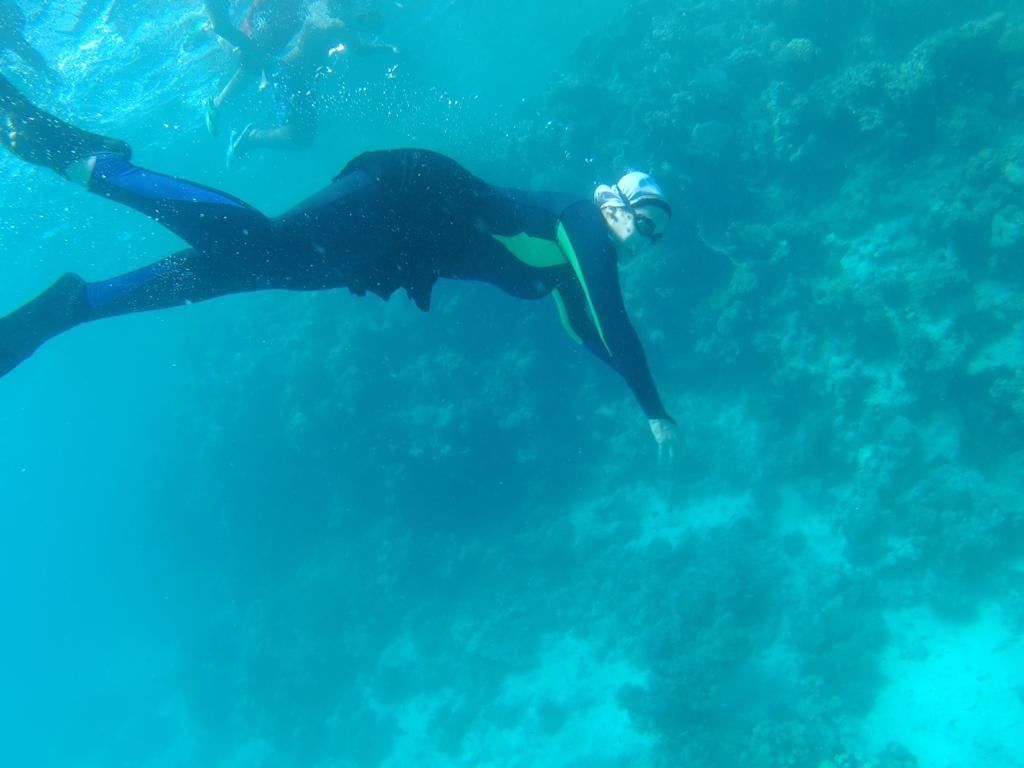 الغوص فى أعماق وادى الجمال الغوص فى أعماق وادى الجمال