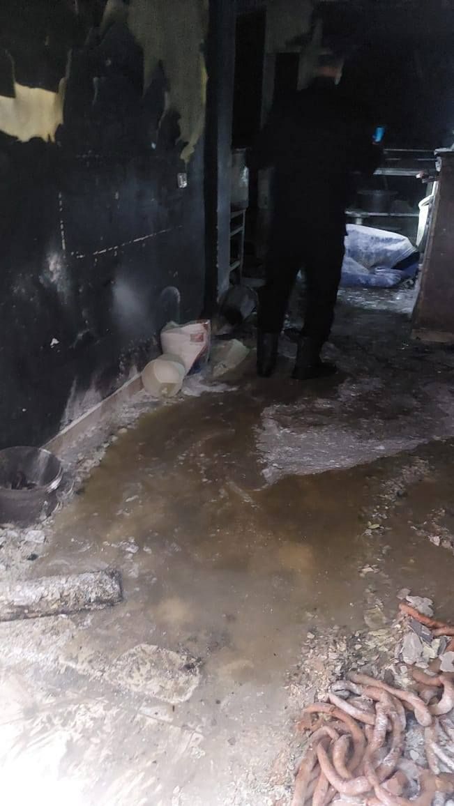 597360951_1291429016332350_5807694028743215893_n 597360951_1291429016332350_5807694028743215893_n