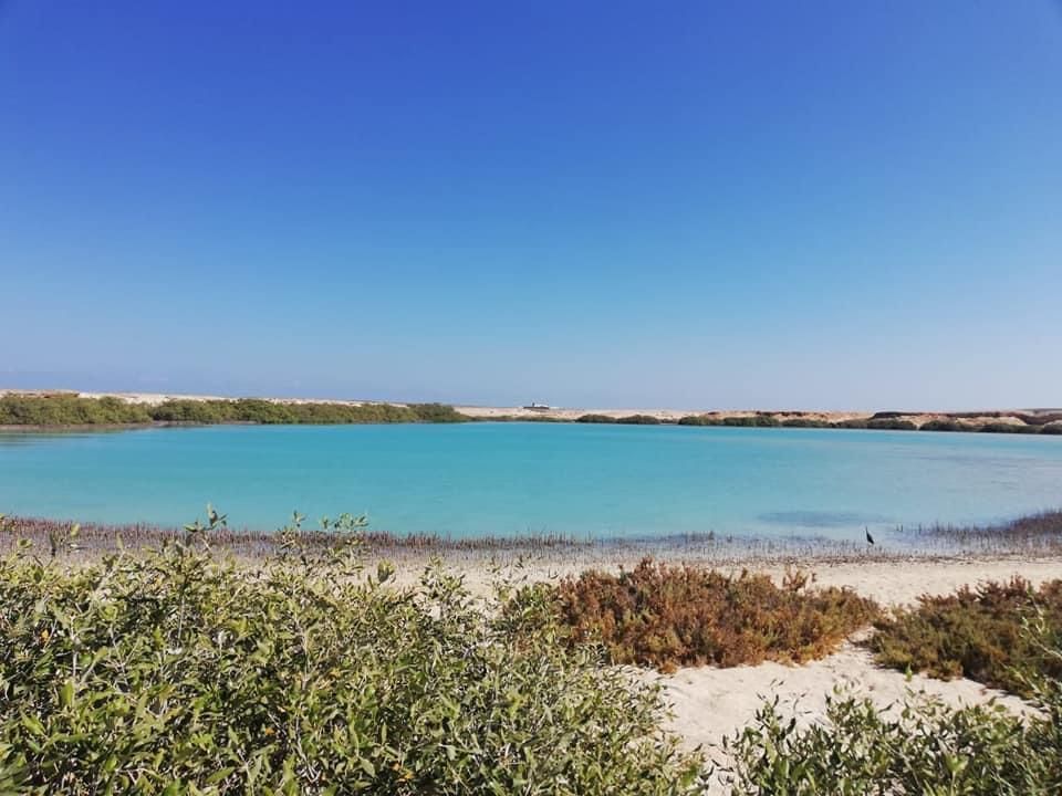 جمال الطبيعة فى القلعان جمال الطبيعة فى القلعان