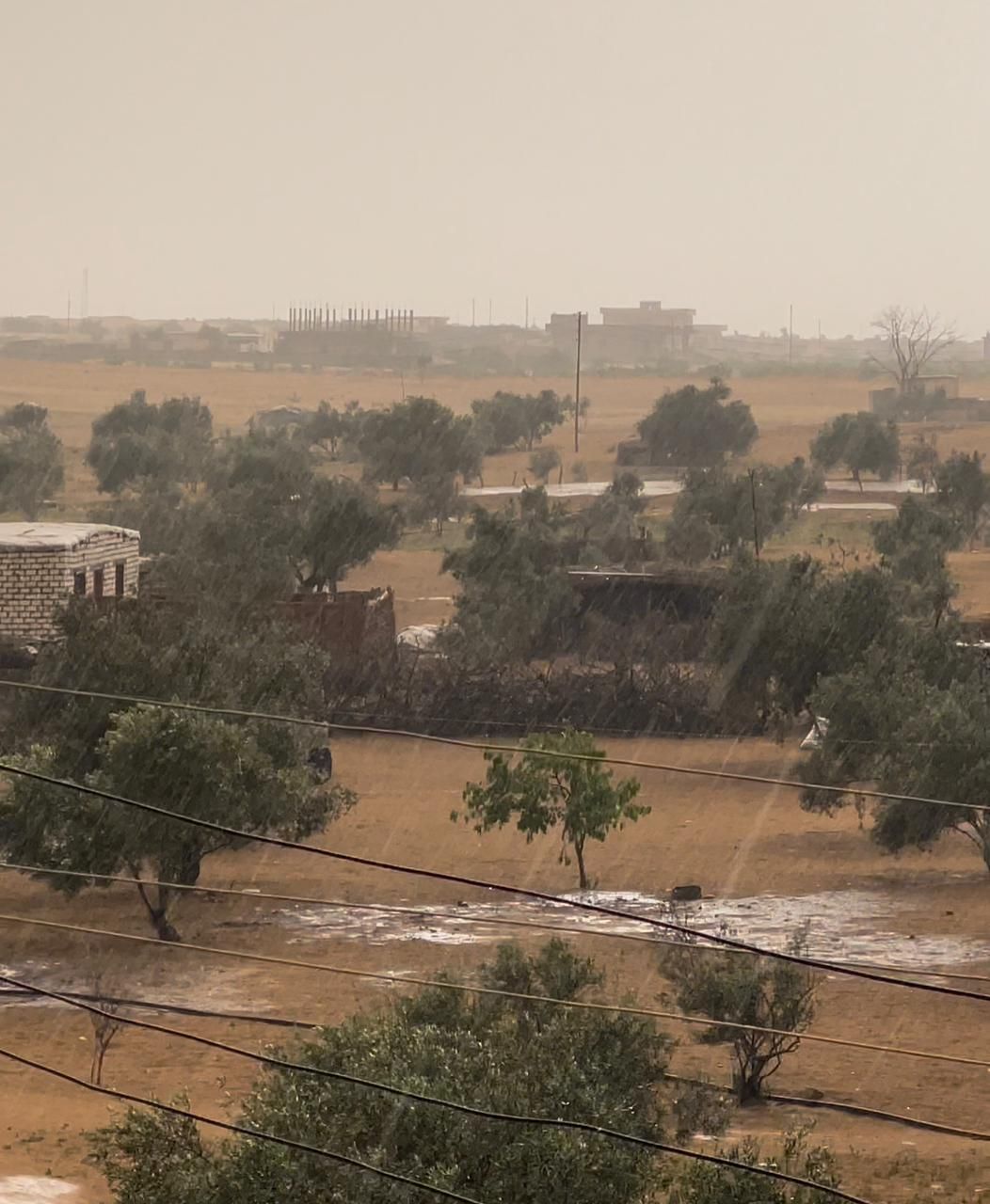 أمطار خفيفة على شمال سيناء مع توقعات بزيادتها مساءً أمطار خفيفة على شمال سيناء مع توقعات بزيادتها مساءً