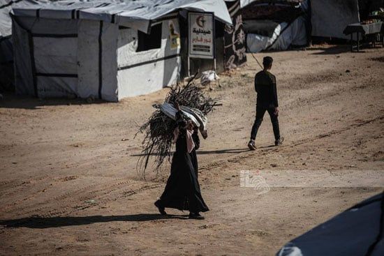 جمع القش لاشعال النيران