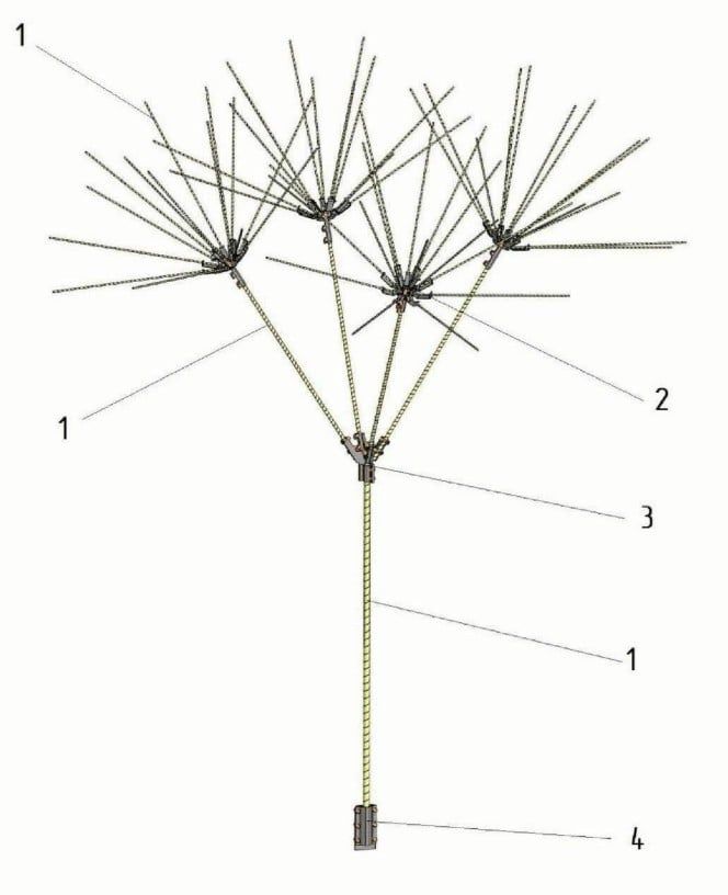 النظام على شكل شجرة النظام على شكل شجرة