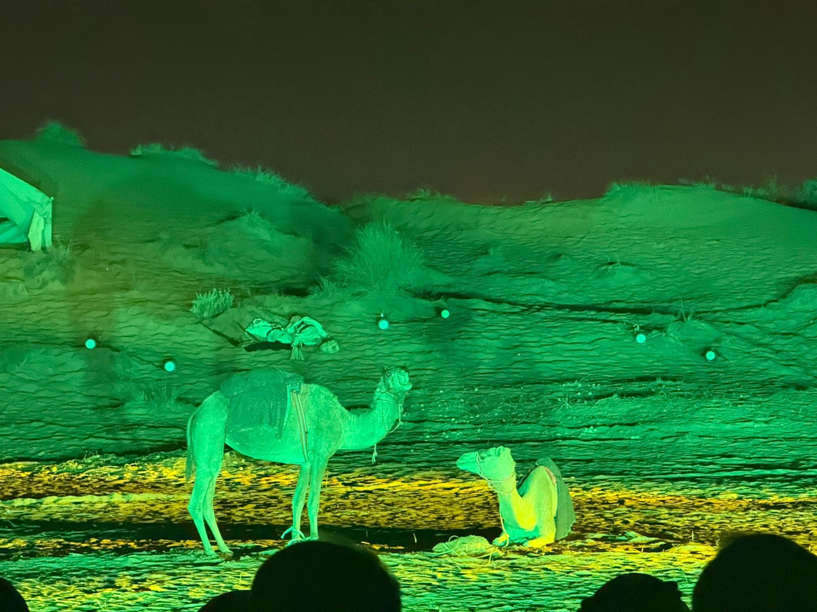 العرض القطري ليلى ومئة ليلة (4) العرض القطري ليلى ومئة ليلة (4)