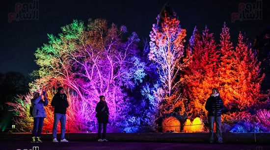 حديقة حيوان برلين تكتسى بالأضواء الملونة حديقة حيوان برلين تكتسى بالأضواء الملونة