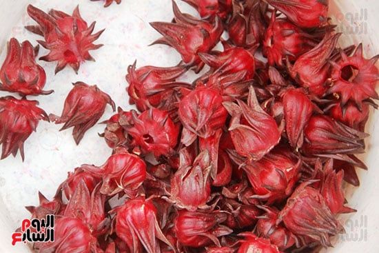 اللوزة اللوزة