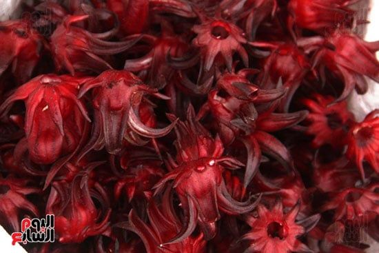 الكركديه-الأسوانى الكركديه-الأسوانى