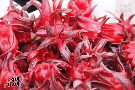 الكركديه الكركديه