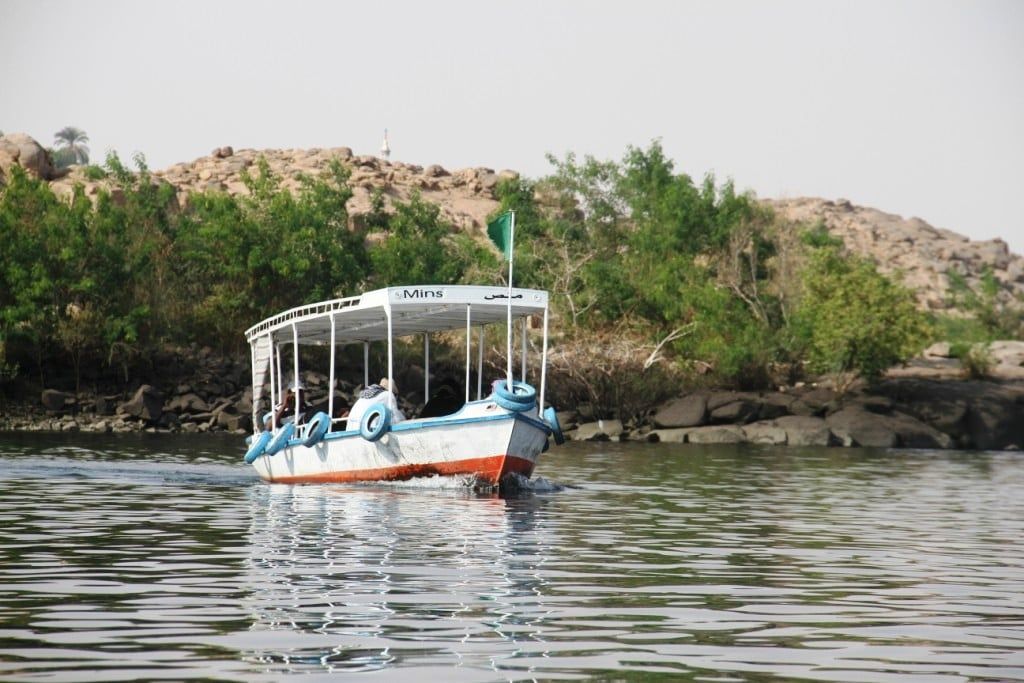 اللنشات وسط الخضرة