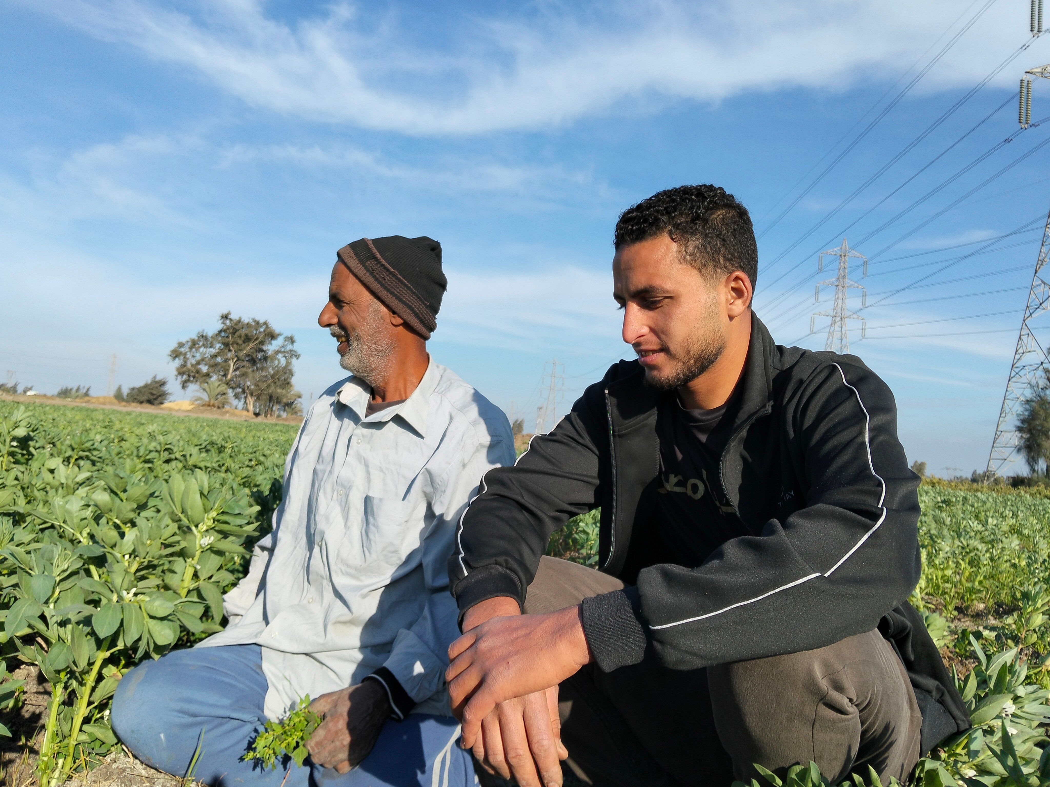 المزارعون بالحقول