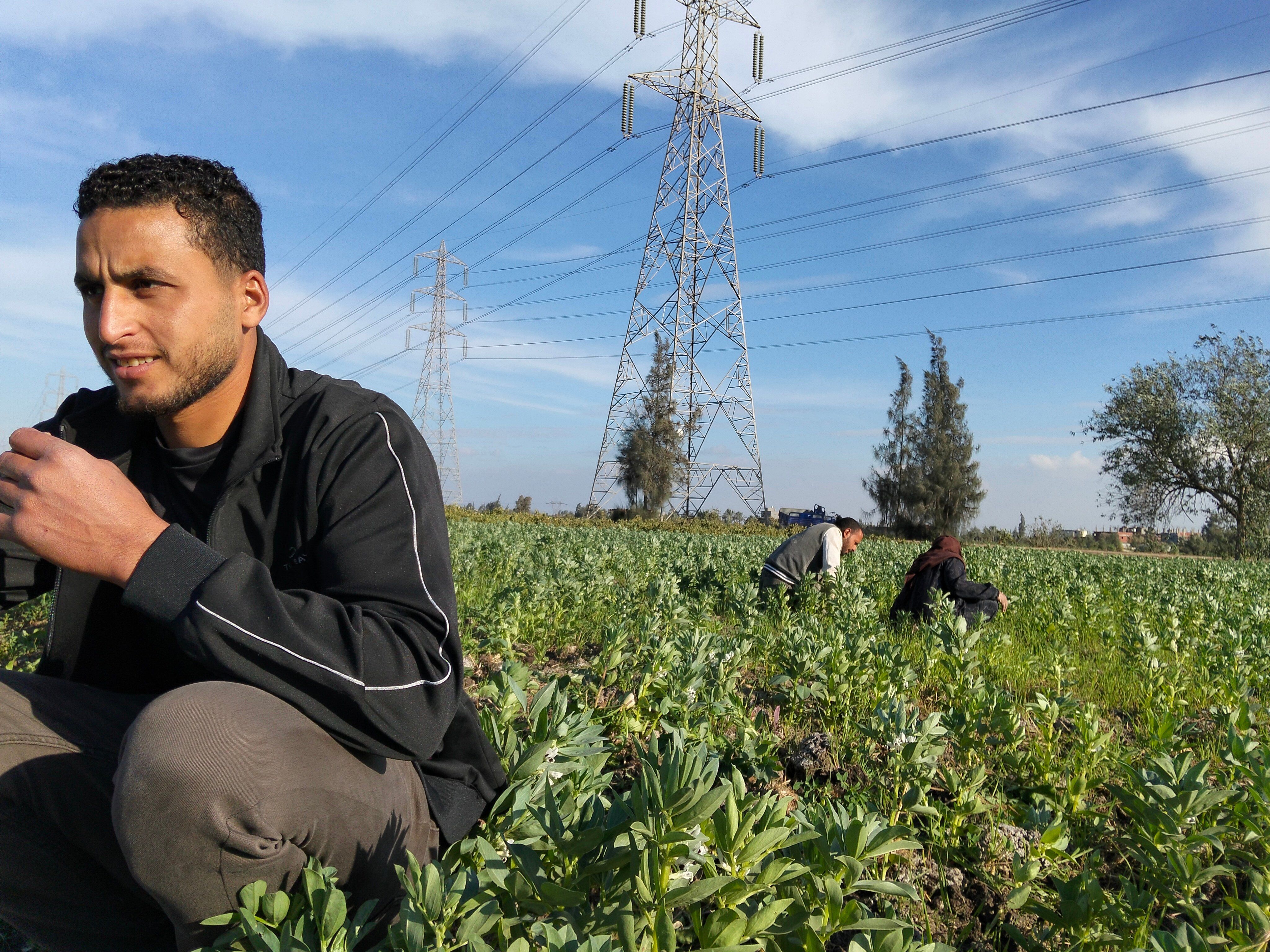 السيدات والرجال يعملون بالحقول