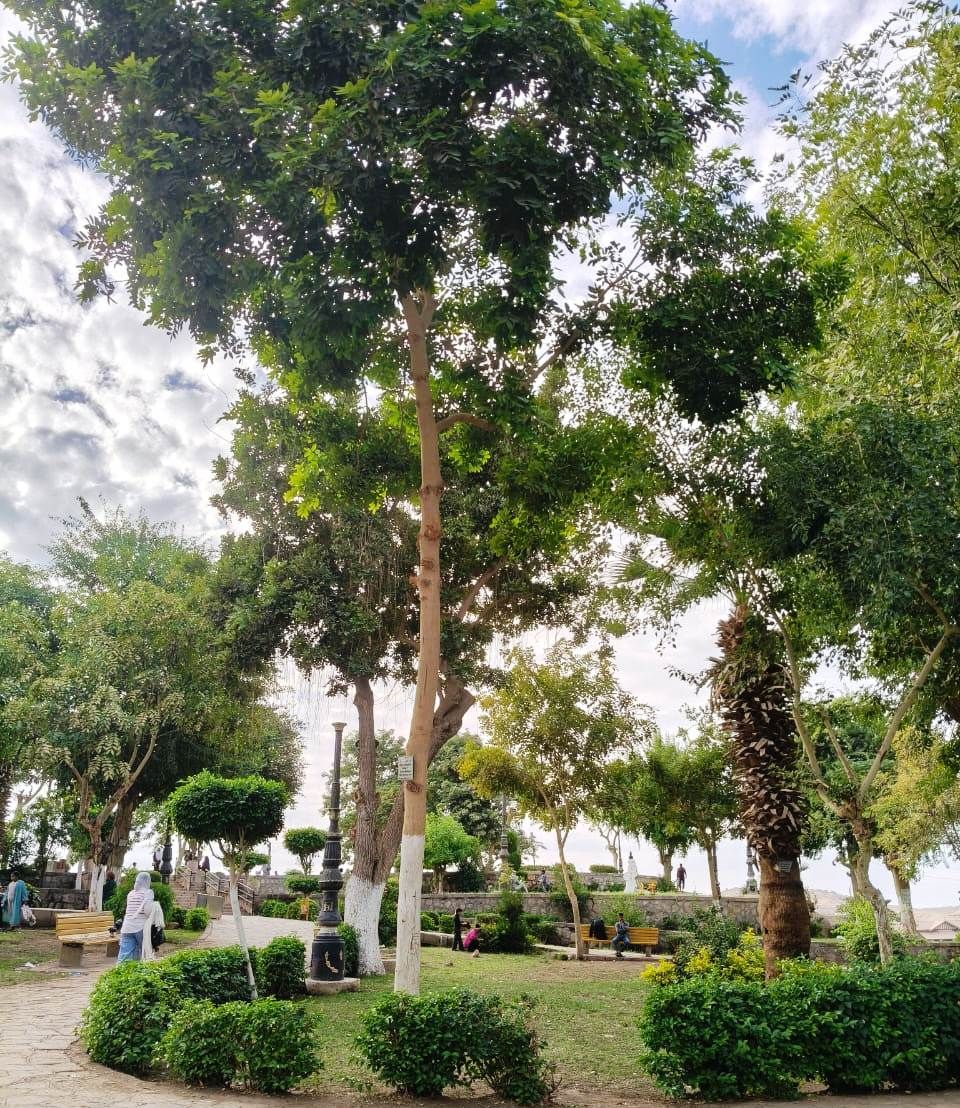 تجهيز الحدائق_2