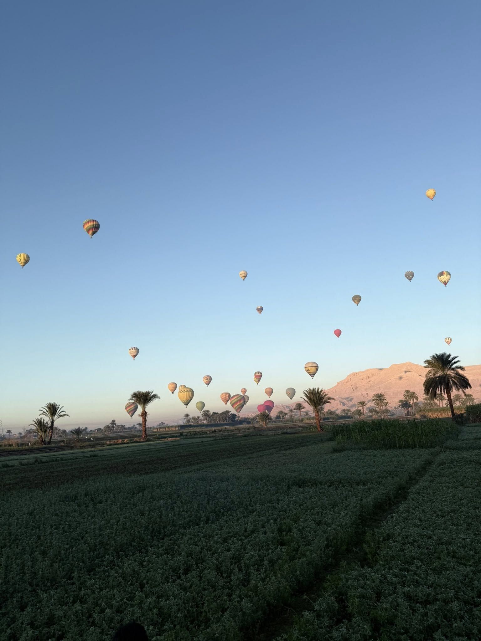جانب من تحليق البالونات غرب الأقصر جانب من تحليق البالونات غرب الأقصر