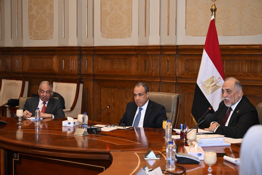 اجتماع لجنة حقوق الإنسان بمجلس الشيوخ مع وزير الخارجية (8)