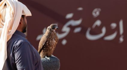 انطلاق مهرجان الملك عبدالعزيز للصقور 2025 الخميس المقبل في مَلهم