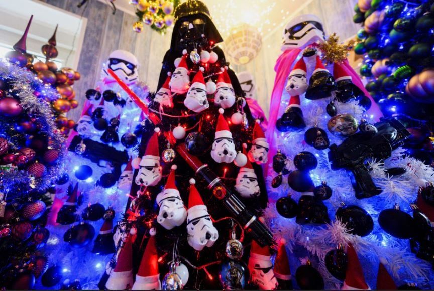 زوجان ألمانيان يحطمان الرقم القياسي العالمي لعدد أشجار عيد الميلاد في المنزل (4)