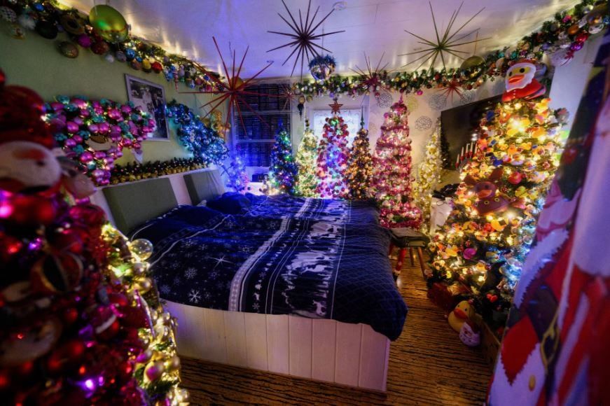 زوجان ألمانيان يحطمان الرقم القياسي العالمي لعدد أشجار عيد الميلاد في المنزل (6)