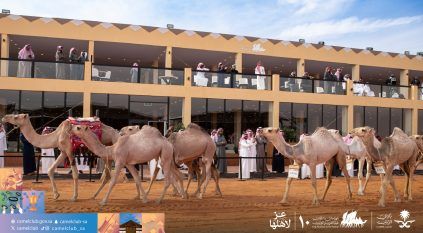 تحت شعار عزّ لأهلها.. انطلاق النسخة العاشرة من مهرجان الملك عبدالعزيز للإبل