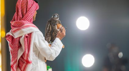 29 مليون ريال في 4 أعوام.. المزاد الدولي لمزارع الإنتاج للصقور يجمع العالم في الرياض