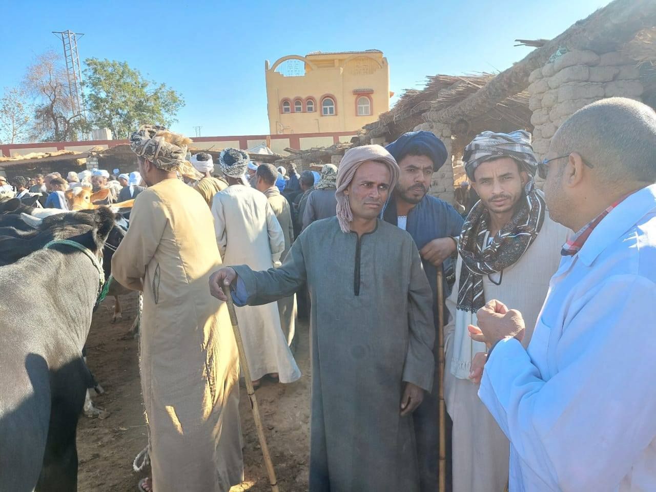 توعية أصحاب الماشية لحماية الثروة الحيوانية فى الأسواق الأسبوعية