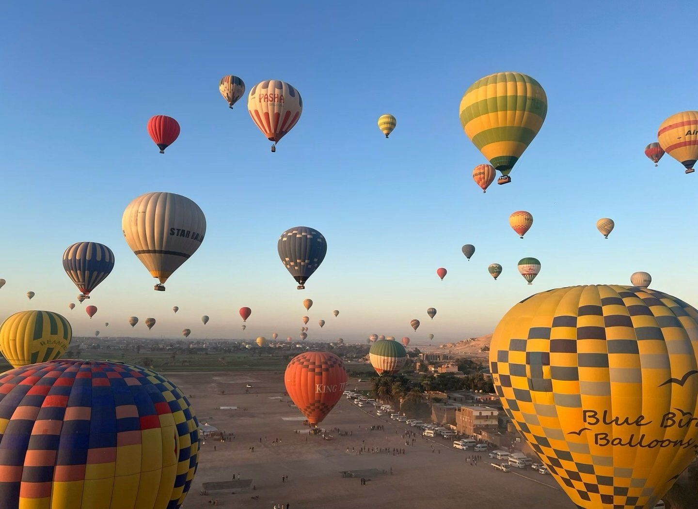 تحليق 2600 سائح على متن 108 رحلة بالون طائر بالأقصر