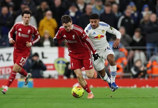 فلوريان فيرتز