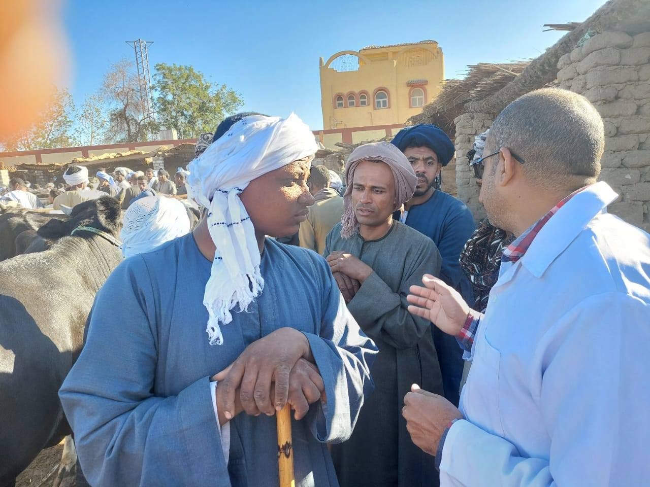 حماية الثروة الحيوانية بحملات وتحصين في أسواق الماشية الأسبوعية بالأقصر