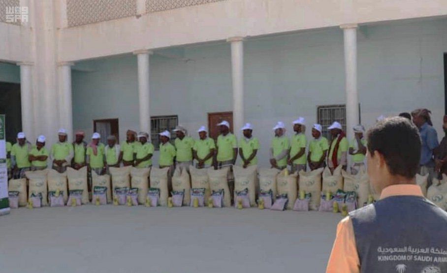 صور.. فرحة مزارعي القمح في سيئون بعد استلام الأسمدة والمبيدات