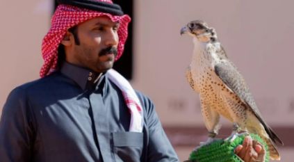 غدًا.. انطلاق أشواط الكؤوس ضمن منافسات مهرجان الملك عبدالعزيز للصقور 2025