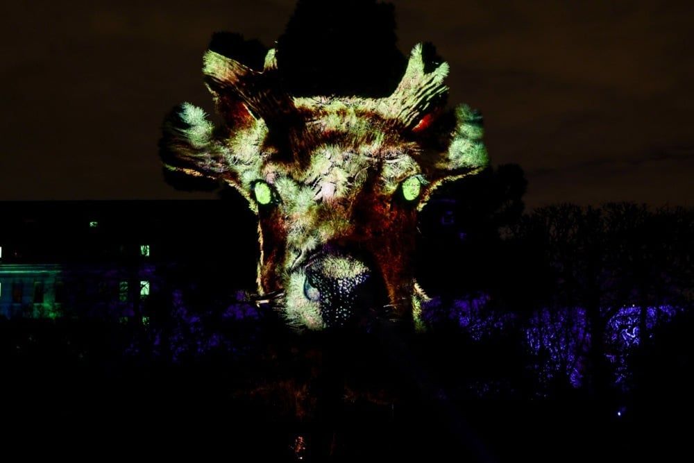 مهرجان الأضواء (9)