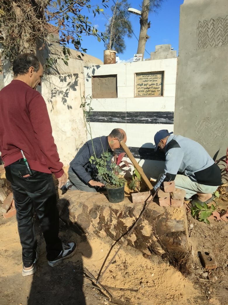زراعة الأشجار أمام وجانب المقابر زراعة الأشجار أمام وجانب المقابر